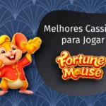 Ratinho Sortudo: Os 5 Melhores Sites Para Apostar em 2025